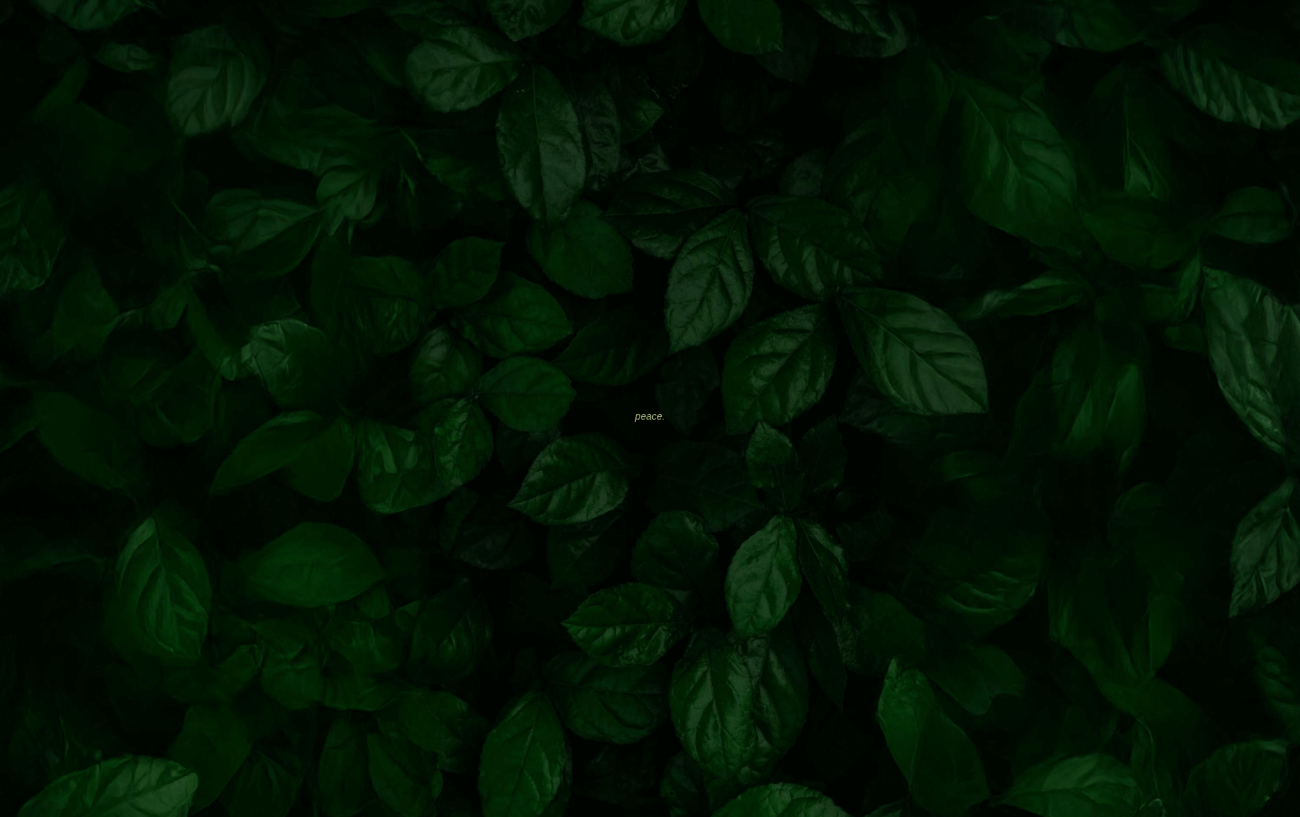 Marcus Amaker's desktop photo, which is a lush, dark photo of green leaves with a small typed word in the center that says 'peace'