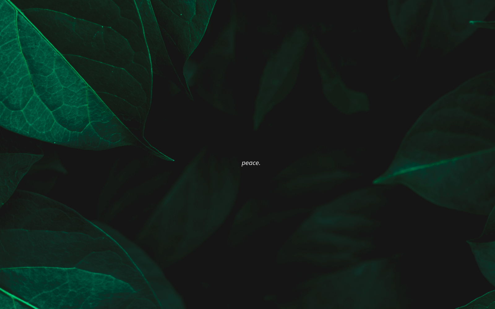 Marcus Amaker's desktop photo, which is a lush, dark photo of green leaves with a small typed word in the center that says 'peace'