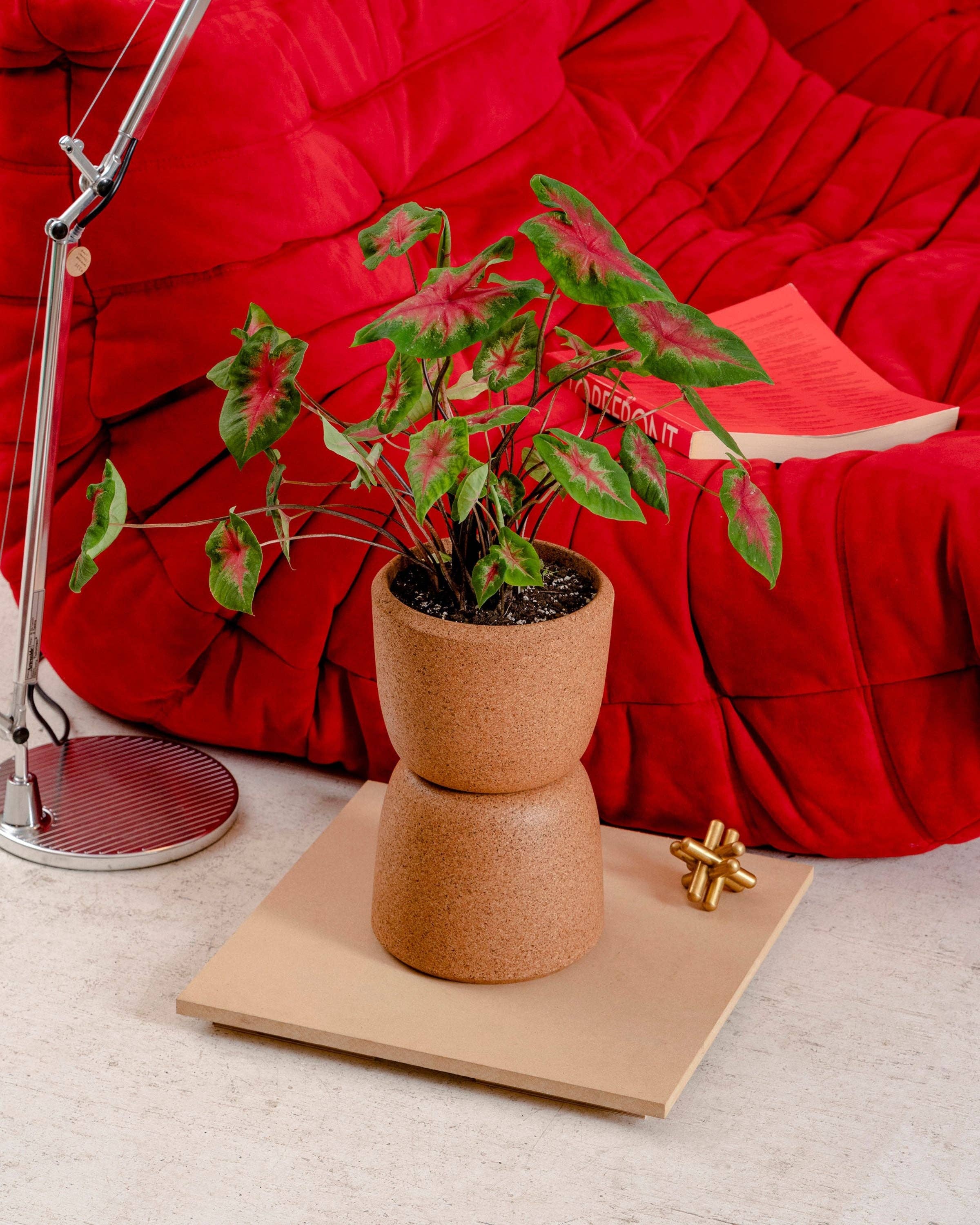 Cloud Planter