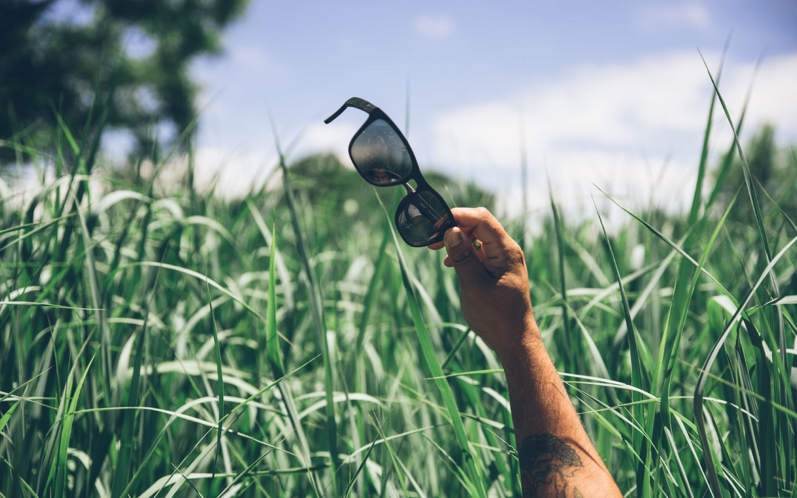 Distil Union Folly Sunglasses in a green field with blue skies
