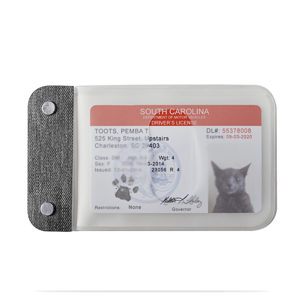 CardSleeves
