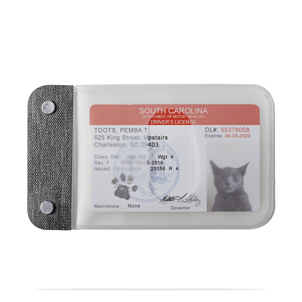 distil cardsleeves with a fake cat ID in translucent plastic sleeves on a white backdrop