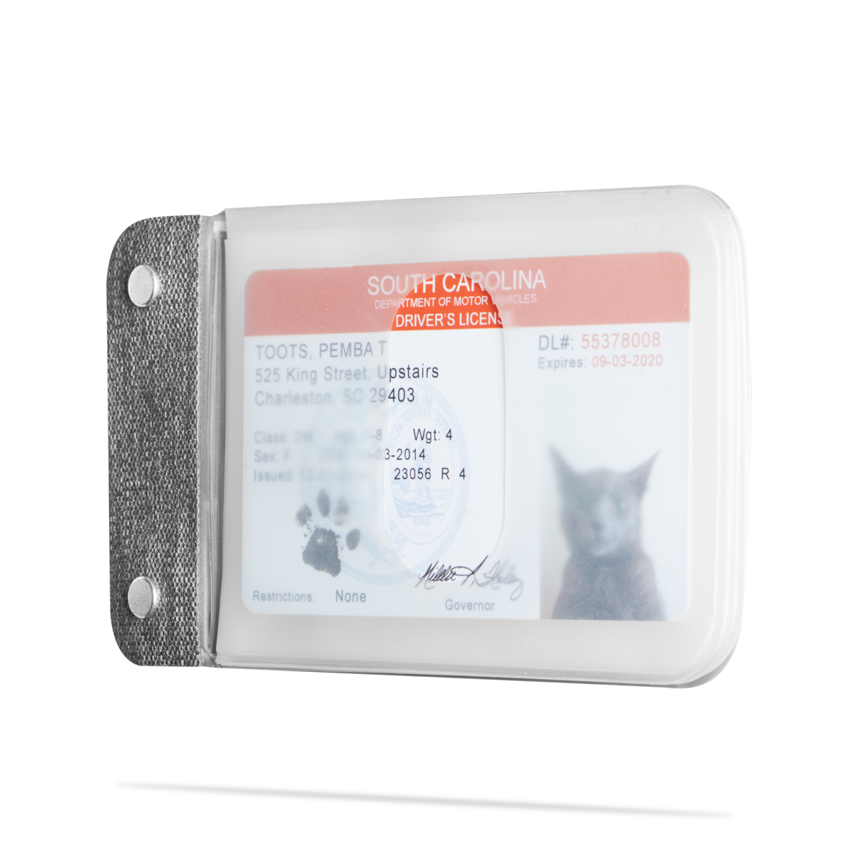 angle shot of distil cardsleeves module with a fake cat id inside a transluscent sleeve